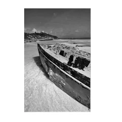 3 Singes Playa Ruinas Tulum