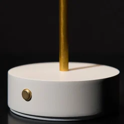 Accordéon - Battery table