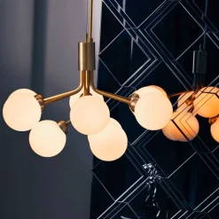 Apiales 9 suspension