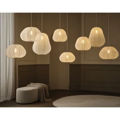 Balloon - Suspensions