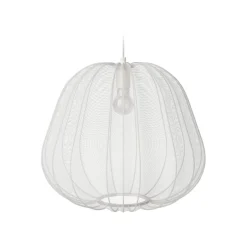 Balloon - Suspensions