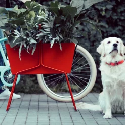 Basket Jardinière Haute