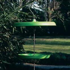 Bird table - Mangeoire à oiseaux