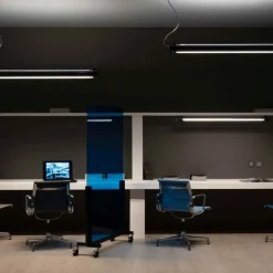 Brueghel Direct/ Indirect