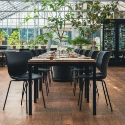 Chaise Hana - Non rembourrée (Lot de 2)