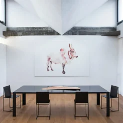 Chaise Slim Sissi - Lot de 2