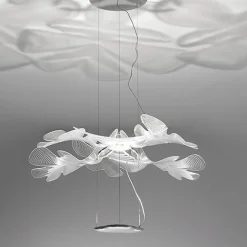 Chlorophilia Suspension