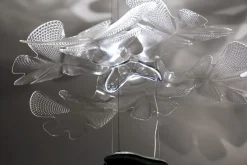 Chlorophilia Suspension