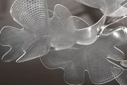 Chlorophilia Suspension