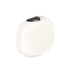 Chouchin semi - Limitée