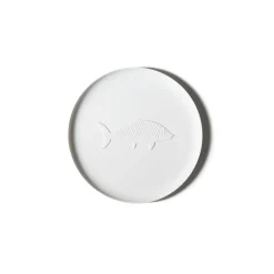 Collection Chandigarh - Plateau