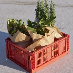 Colour Crate - Lot de 4