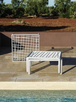 Composition 5 Komodo