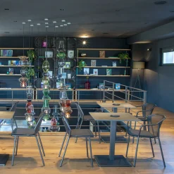 Darwin Fauteuil (Lot de 4)