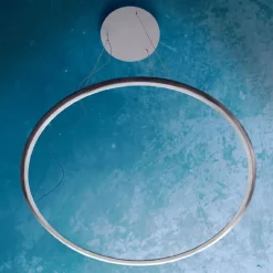 Discovery Suspension