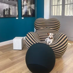 Fauteuil et Repose Pied UP 5/6