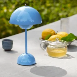 Flowerpot VP9 Portable