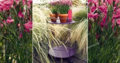 Guéridon à roulettes / Guinguette