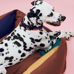 Hay Panier pour chien