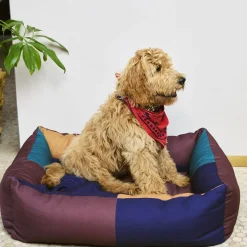 Hay Panier pour chien