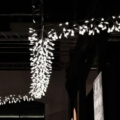 Heracleum III Endless