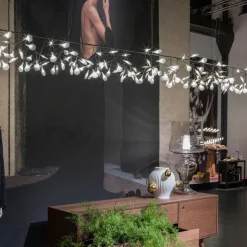 Heracleum III Endless