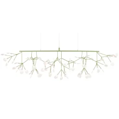 Heracleum III Linear