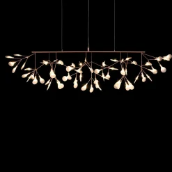 Heracleum III Linear