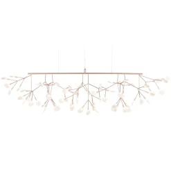 Heracleum III Linear