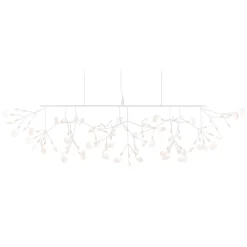 Heracleum III Linear