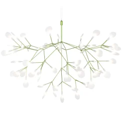 Heracleum III Suspended