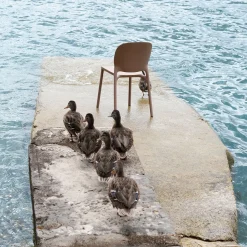 Hug Chaise - Lot de 6