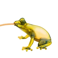 Hungry Frog Lamp