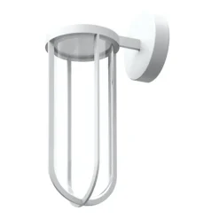 In vitro applique murale