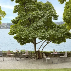 Malvasia Chaise - lot de 2