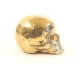 Memorabilia Gold - Crâne My Skull