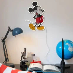 Mickey Full Body
