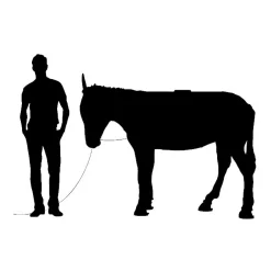 Mobilier de compagnie - Maturin