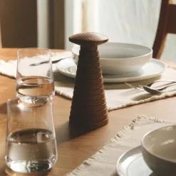 Mouline à épices Yucatan