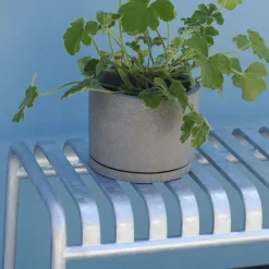 Palissade banc sans dossier