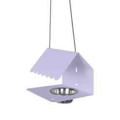 Picoti mangeoire à oiseaux