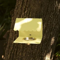 Picoti mangeoire à oiseaux