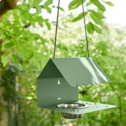 Picoti mangeoire à oiseaux