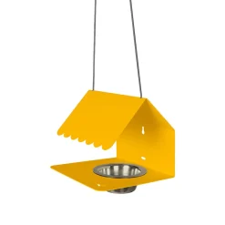 Picoti mangeoire à oiseaux