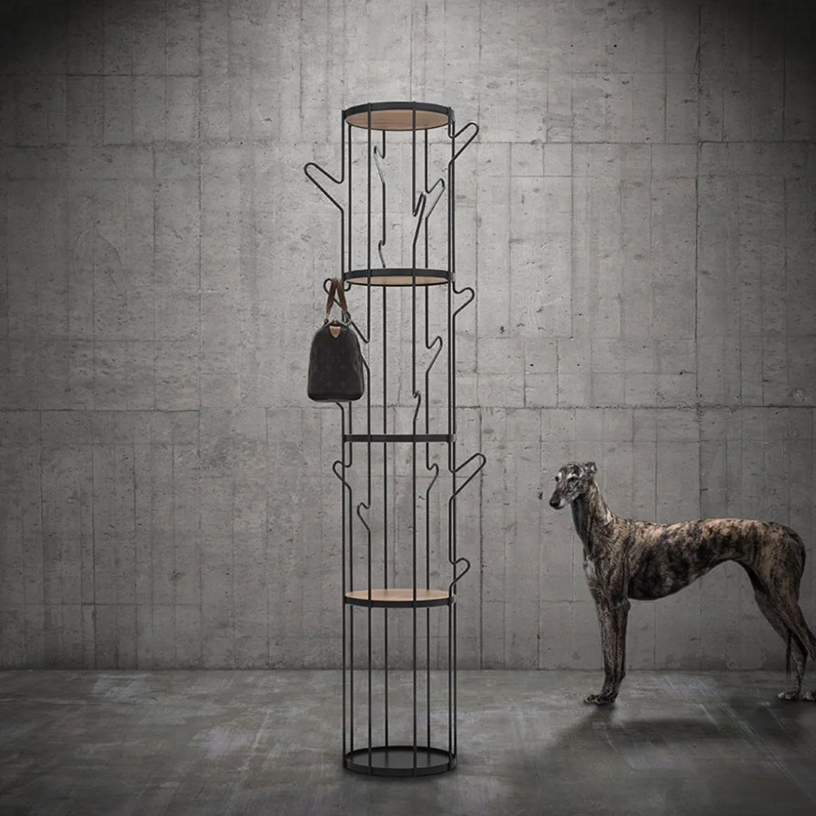 Portemanteau- Étagère Albero