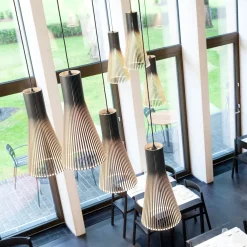 Secto 4200 suspension