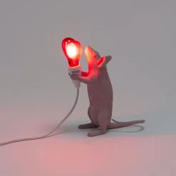 Souris lampe step love Usb
