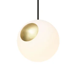 Suspension Bright Spot