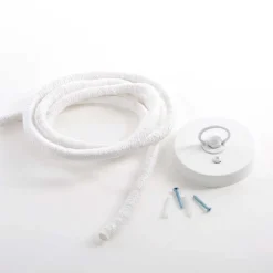 The Monkey Lamp Ceiling