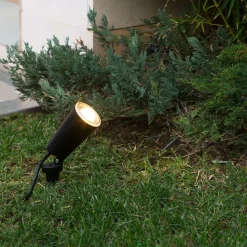 Toni Lampe avec piquet